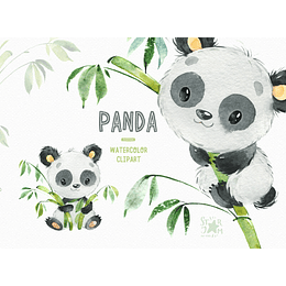 Imágenes Panda Acuarela Png 300 dpi Clipart Fondo Transparente