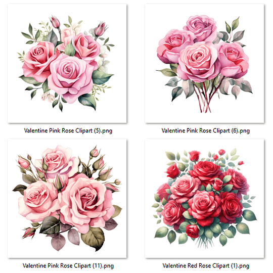 Imágenes Rosas Jardín Png 300 dpi Clipart Fondo Transparente