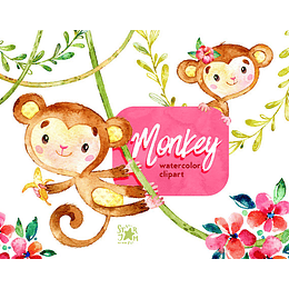 Imágenes Macaco Acuarela Png 300 dpi Clipart Fondo Transparente