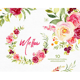 Imágenes Melosa Flores Floral Acuarela Png 300 dpi Clipart Fondo Transparente