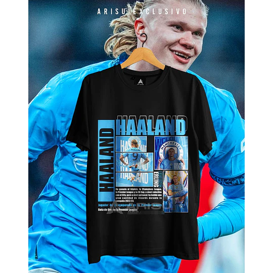 14 Plantillas de Diseño Tazas y Polera diseños Haaland Archivos PNG