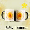 12 Plantillas de Diseño Tazas Flores Amarillas Archivos PNG