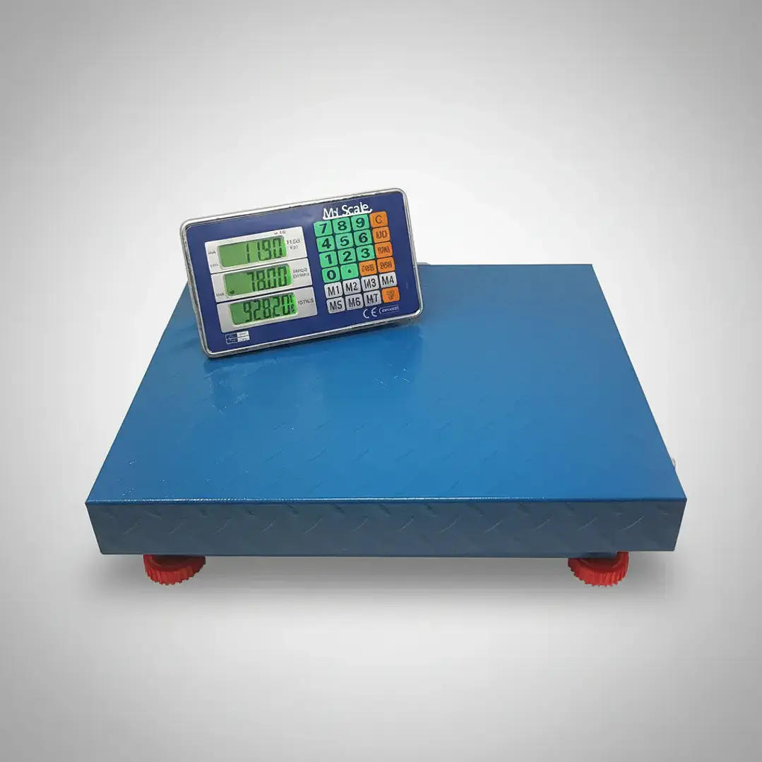 Balanza Digital Inalámbrica Industrial de 600 kg de Acero Reforzado 1