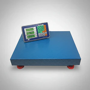 Balanza Digital Inalámbrica Industrial de 600 kg de Acero Reforzado