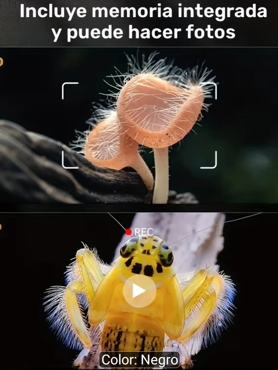 MICROSCOPIO DIGITAL LCD HD 10.92 CM ZOOM 1-1000X 5