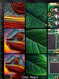 MICROSCOPIO DIGITAL LCD HD 10.92 CM ZOOM 1-1000X - thumbnail 6