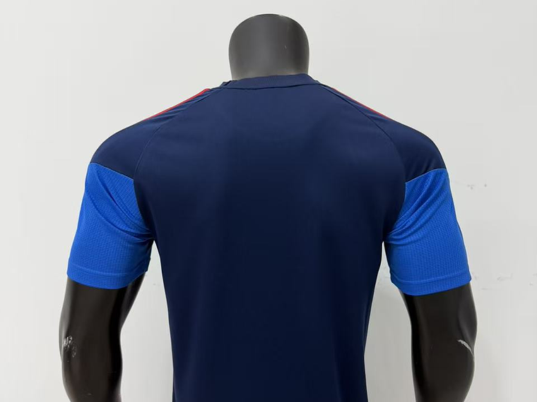 Camiseta Entreno Hombre y Dama Mundial 2026 Col 2