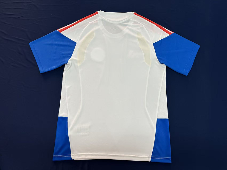Camiseta Entreno Blanca de hombre y Dama Mundial 26 1