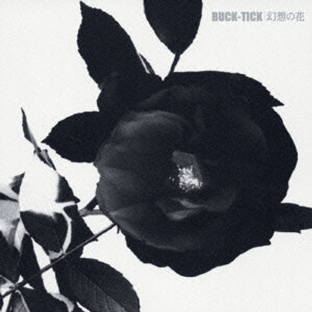 [SINGLE] Gensou no Hana (Limited Edition) 