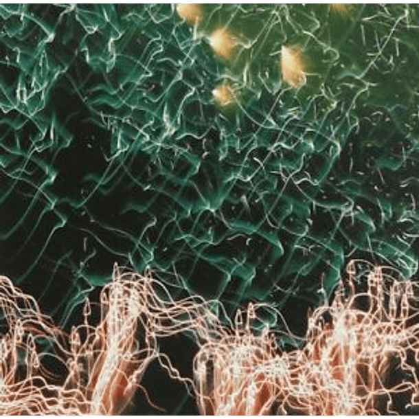 [ALBUM] CATALOGUE 2005 