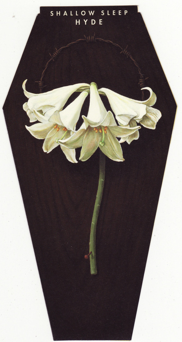 [SINGLE] SHALLOW SLEEP (1st Limited Edition)