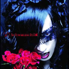 [SINGLE] Schwarzschild (LIMITED EDITION)