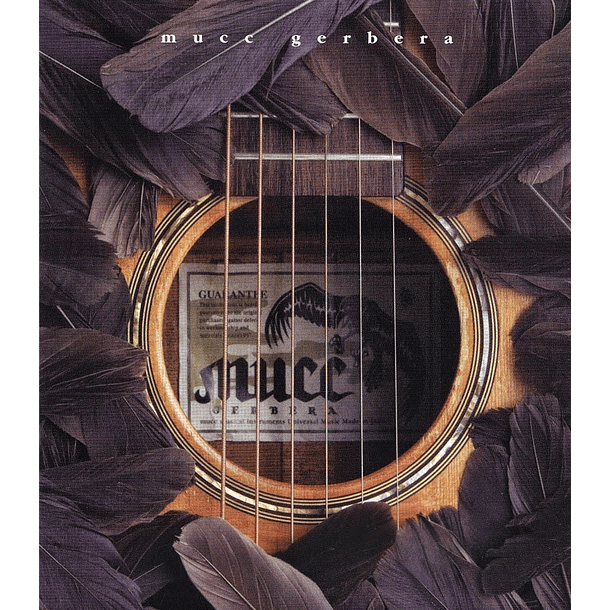 [SINGLE] Gerbera (Regular Edition) 