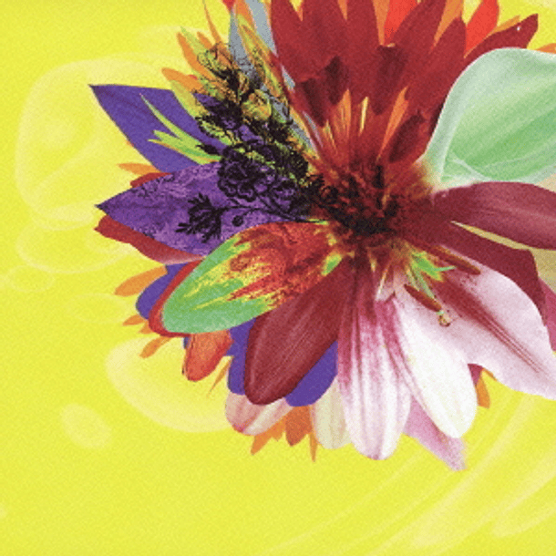 [SINGLE] Cassis《Atype》 