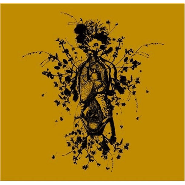 [VIDEO] FILM BUG 1 (DVD) 