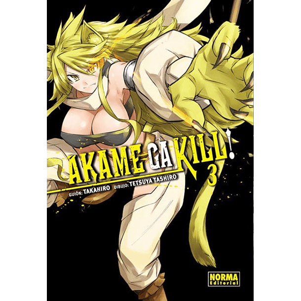 AKAME GA KILL! 03 