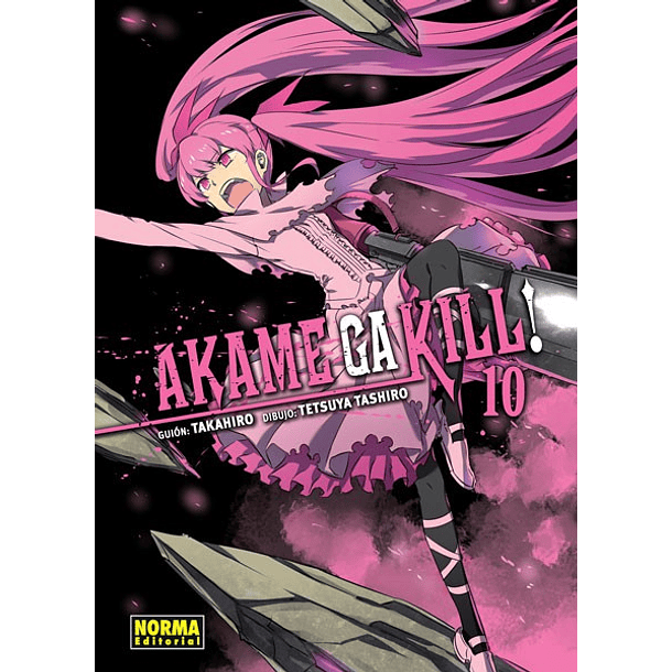 AKAME GA KILL! 10 