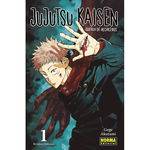 JUJUTSU KAISEN 01 