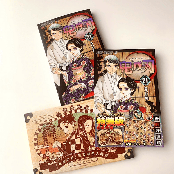 GUARDIANES DE LA NOCHE 21 (Edición Limitada Japonesa+Tomo Español) 2