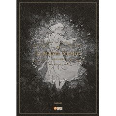 LA PEQUEÑA FORASTERA: SIÚIL, A RÚN 09