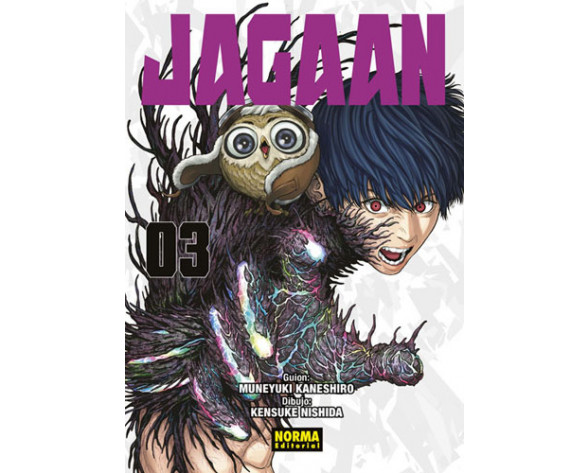 JAGAAN 03