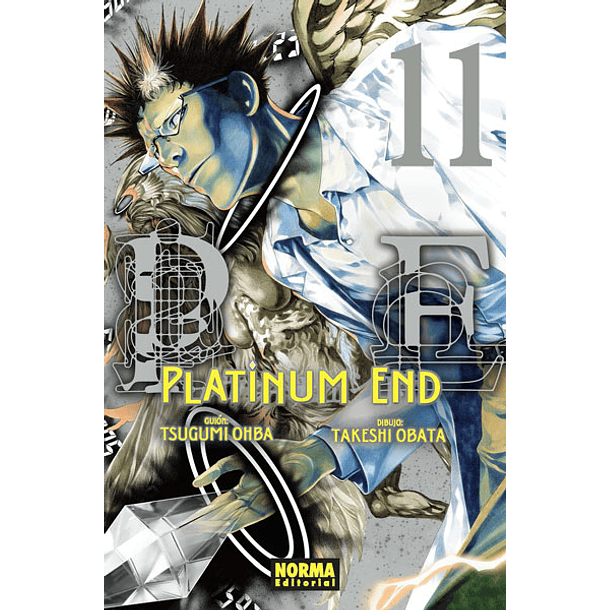 PLATINUM END 11 
