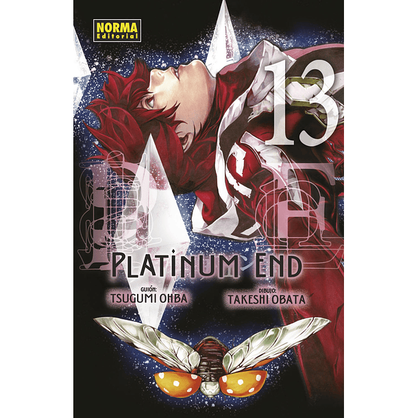 PLATINUM END 13 