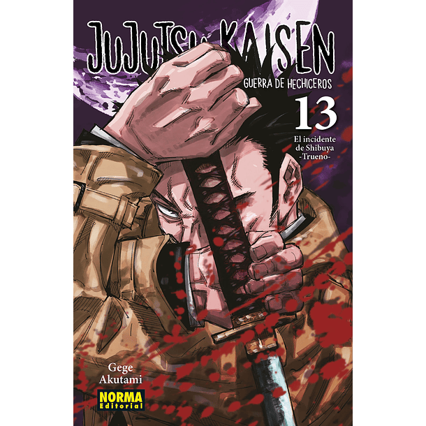 JUJUTSU KAISEN 13 