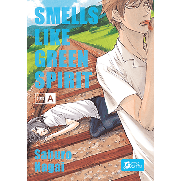 Smells like green spirit -SIDE A- 