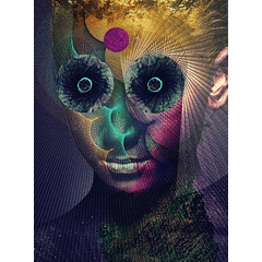 [ALBUM] The Insulated World (DELUXE Edition) Blu-ray
