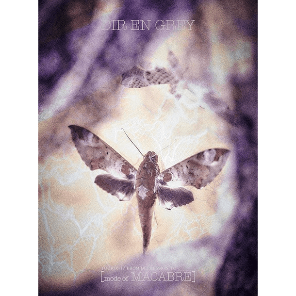 [Blu-ray BOX LIVE] TOUR16-17 FROM DEPRESSION TO ________  5