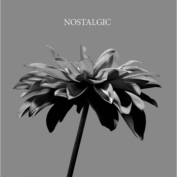 [SINGLE] NOSTALGIC (Limited Edition) 