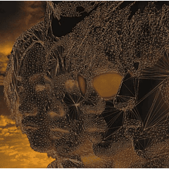 [ALBUM] Ray (Regular Edition)