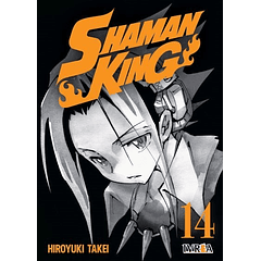 Shaman King 14