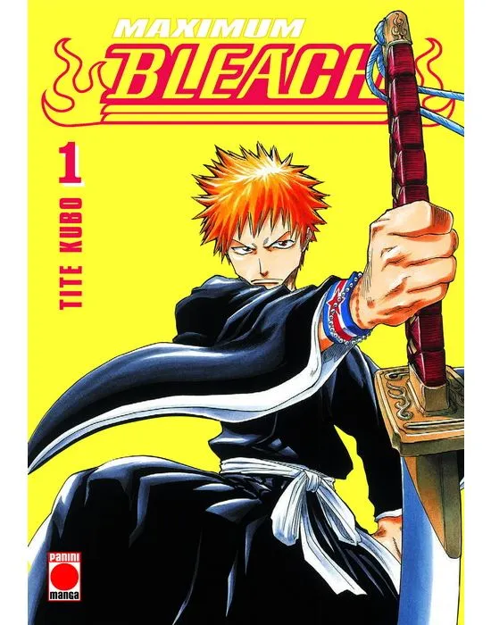 BLEACH MAXIMUM 01