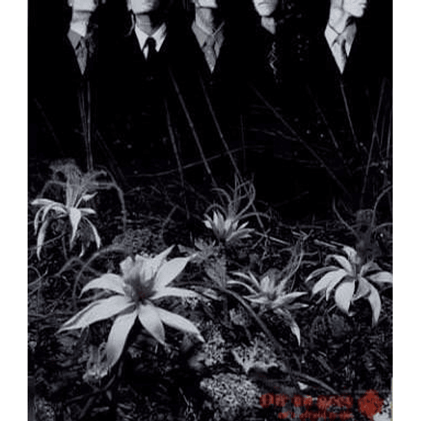 [SINGLE] ain’t afraid to die 