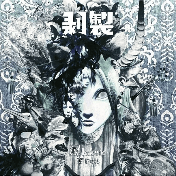 [ALBUM] Hakusei (Regular Edition) 