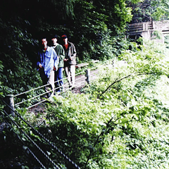 [ALBUM] LONG SEASON (Sellado)