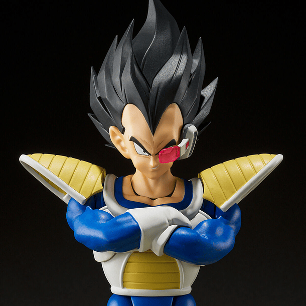 [S.H. Figuarts] VEGETA-24000 fuerza de combate 2