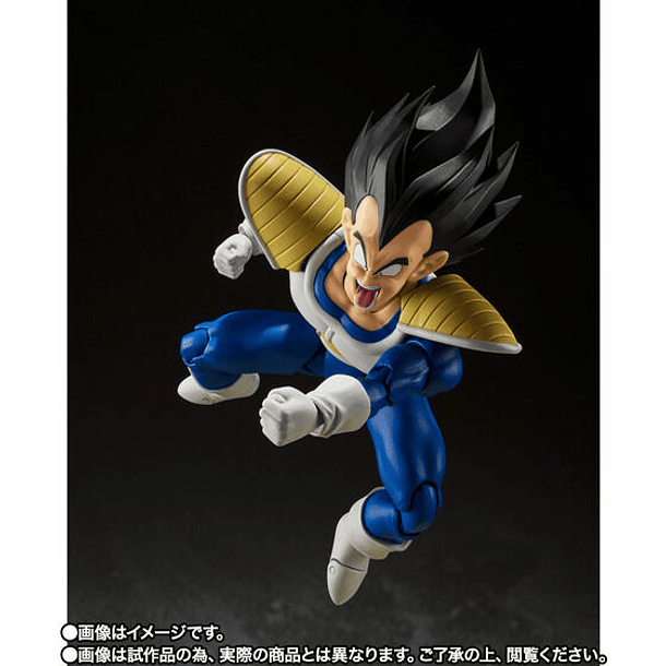 [S.H. Figuarts] VEGETA-24000 fuerza de combate 6