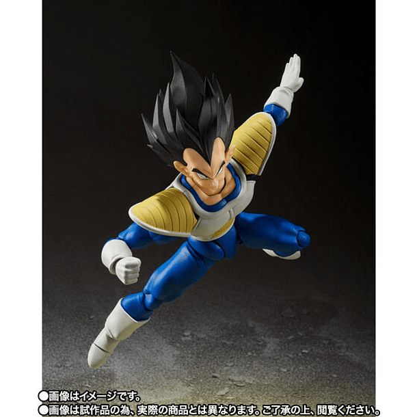 [S.H. Figuarts] VEGETA-24000 fuerza de combate 7