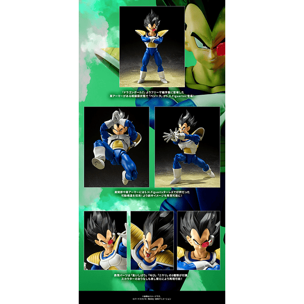 [S.H. Figuarts] VEGETA-24000 fuerza de combate 9