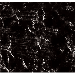 [MINI ALBUM] 701125 (Primer press Limitado)