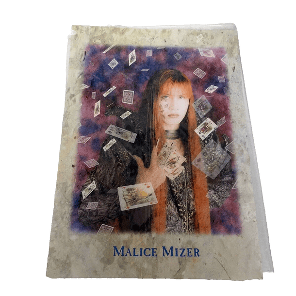 [pamphlet] Pays de merveilles tour (B4) 4