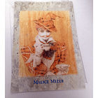 [pamphlet] Pays de merveilles tour (B4) 5