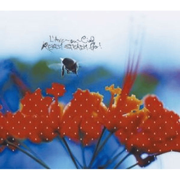 [SINGLE] READY STEADY GO 