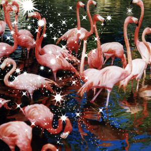 [SINGLE] Hitomi no Juunin