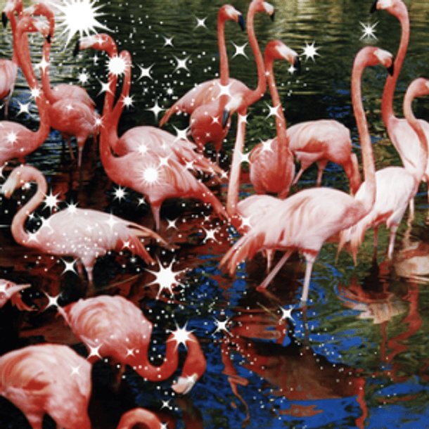 [SINGLE] Hitomi no Juunin 