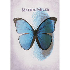 [SINGLE BOX] SHINWA-KAMI Memorial- BOX