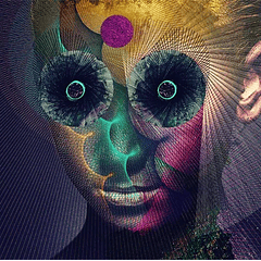 [ALBUM] The Insulated World